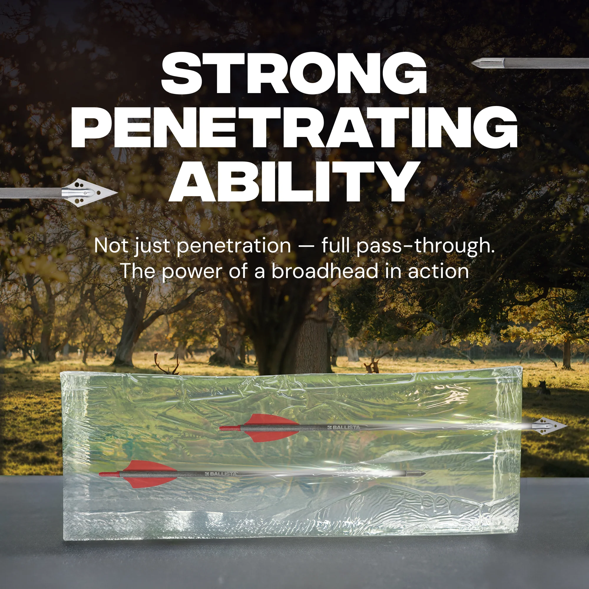 10.5" Carbon Broadhead Bolts for BAT & BAT Reverse with Magazine (5 pc) - Image 6