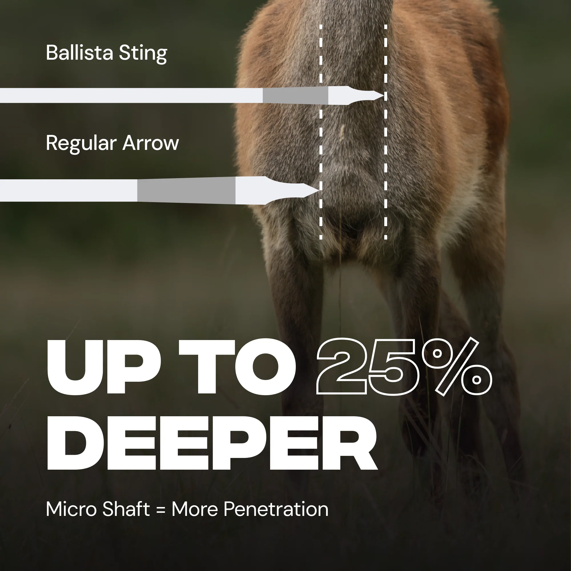 16" Micro-Diameter Sting Helical 3-Vanes Carbon Bolts – Built for Hawkwing - Image 5