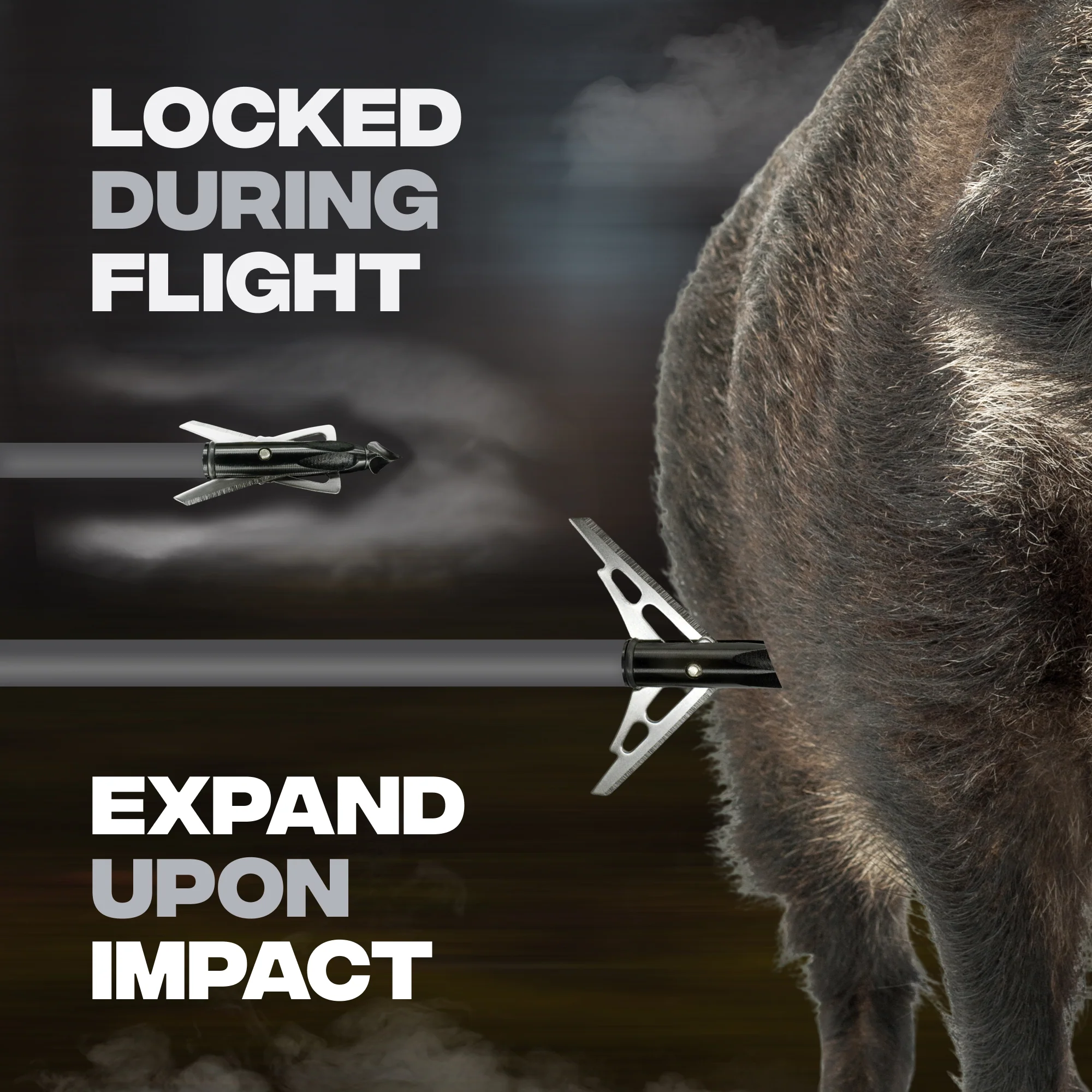 Mechanical Broadheads – 100 Grain, 2-Blade Expandable – 3 Pack - Image 4